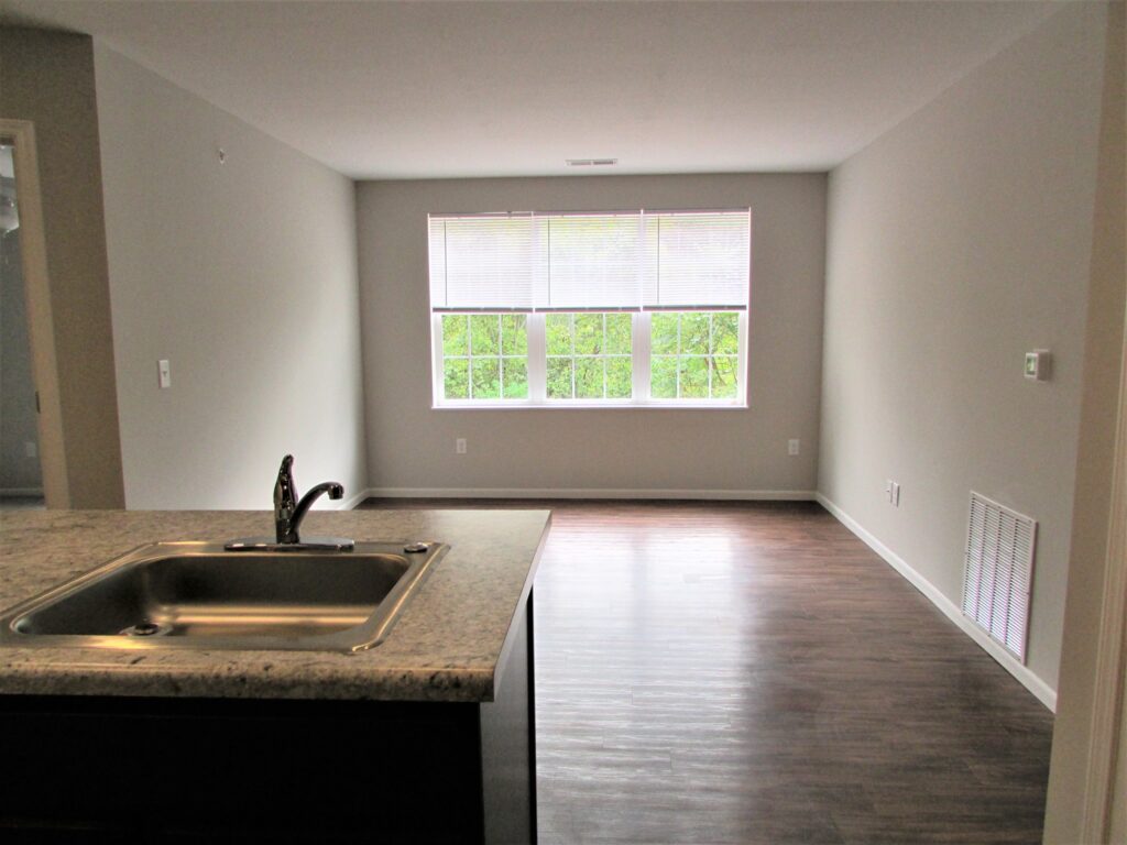 Kitchen island overlooking living room